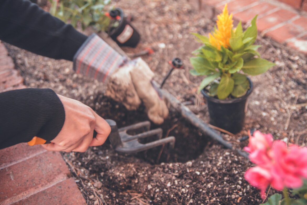 94% of older Australians say home gardening space is important—why isn’t it part of housing crisis discussions? 94% of older Australians say home gardening space is important—why isn't it part of housing crisis discussions?