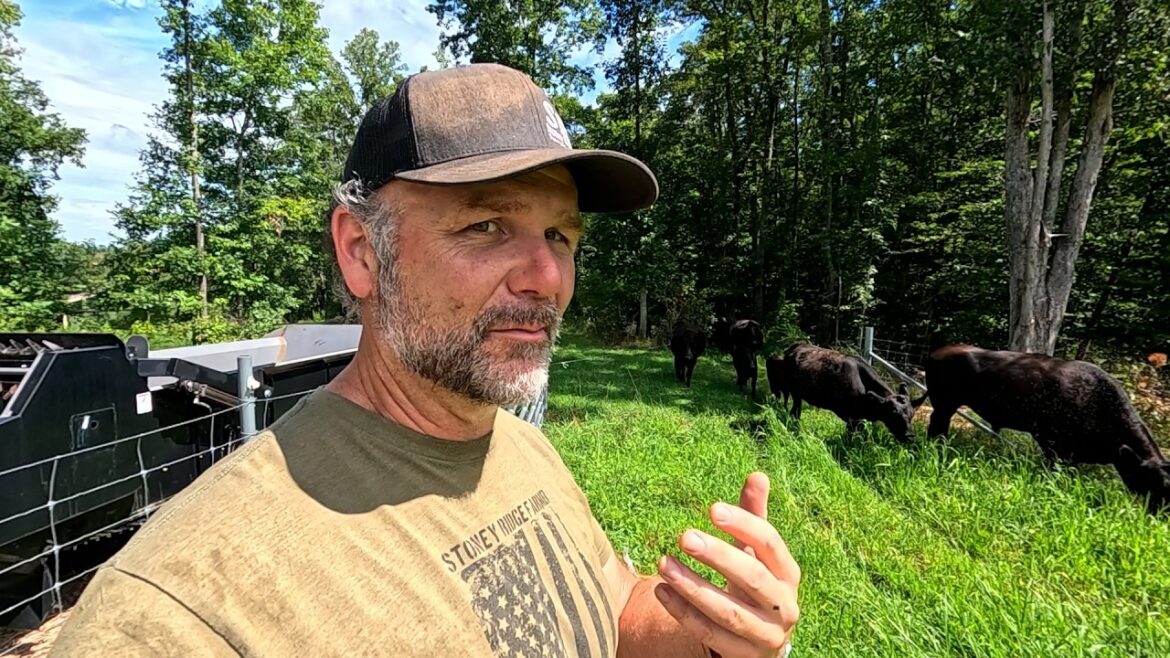 Who hit the fence this time? 🤦 Fall farm plans are changing fast!