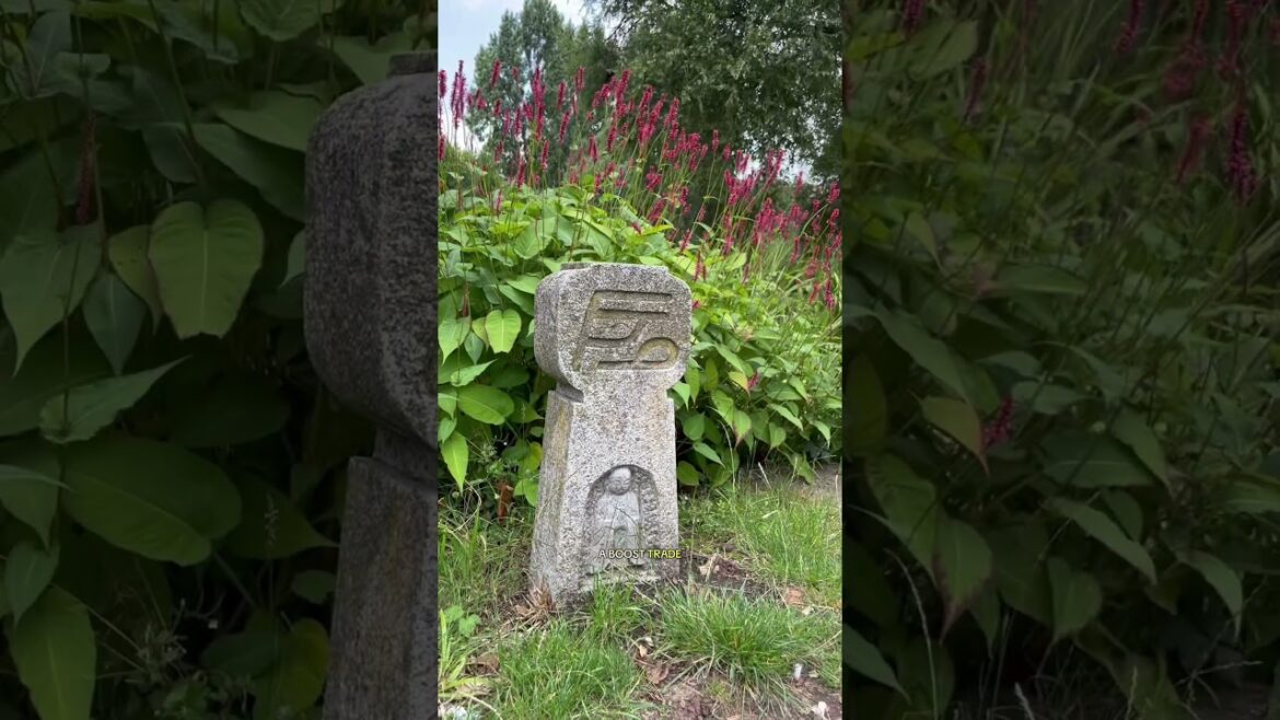 #historyshorts #historylovers #hammersmith #london #garden #japanese #japanesegardens #historyshorts #historylovers #hammersmith #london #garden #japanese #japanesegardens