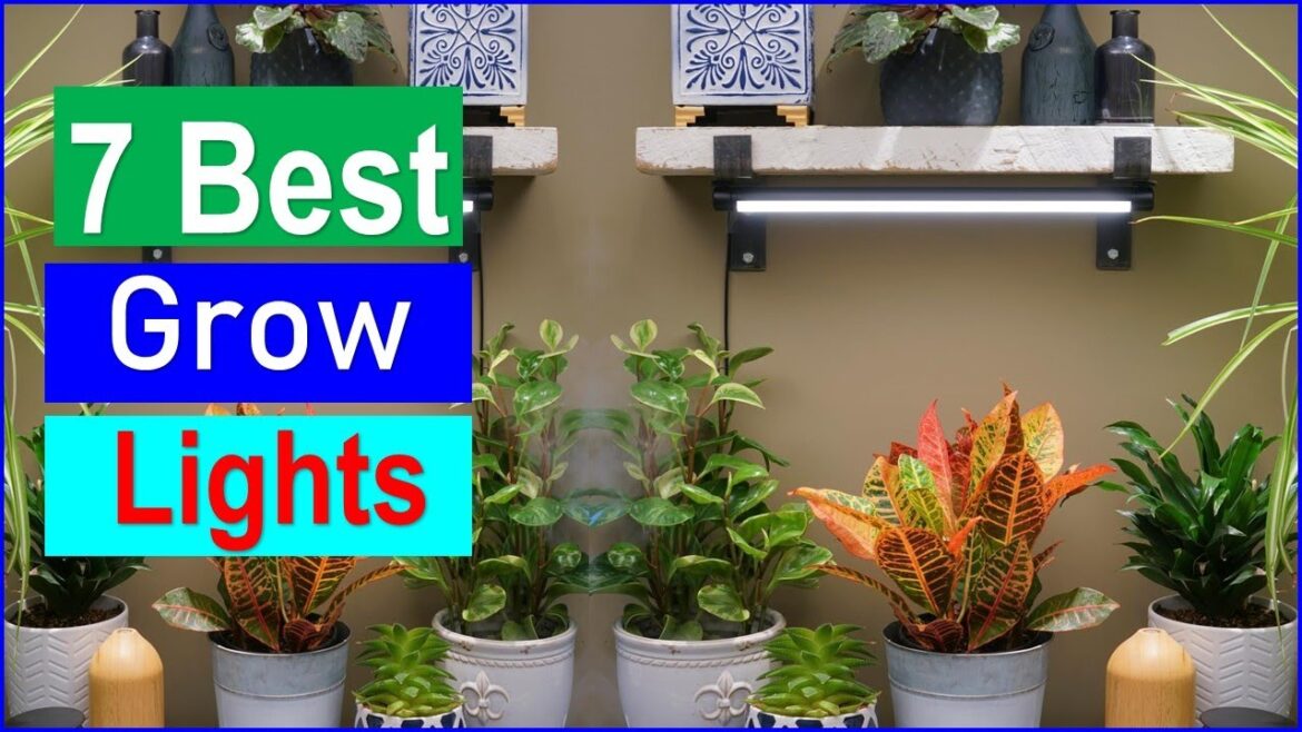 Top 7 Best Grow Lights in 2025 | Best Grow Lights - Buy Now