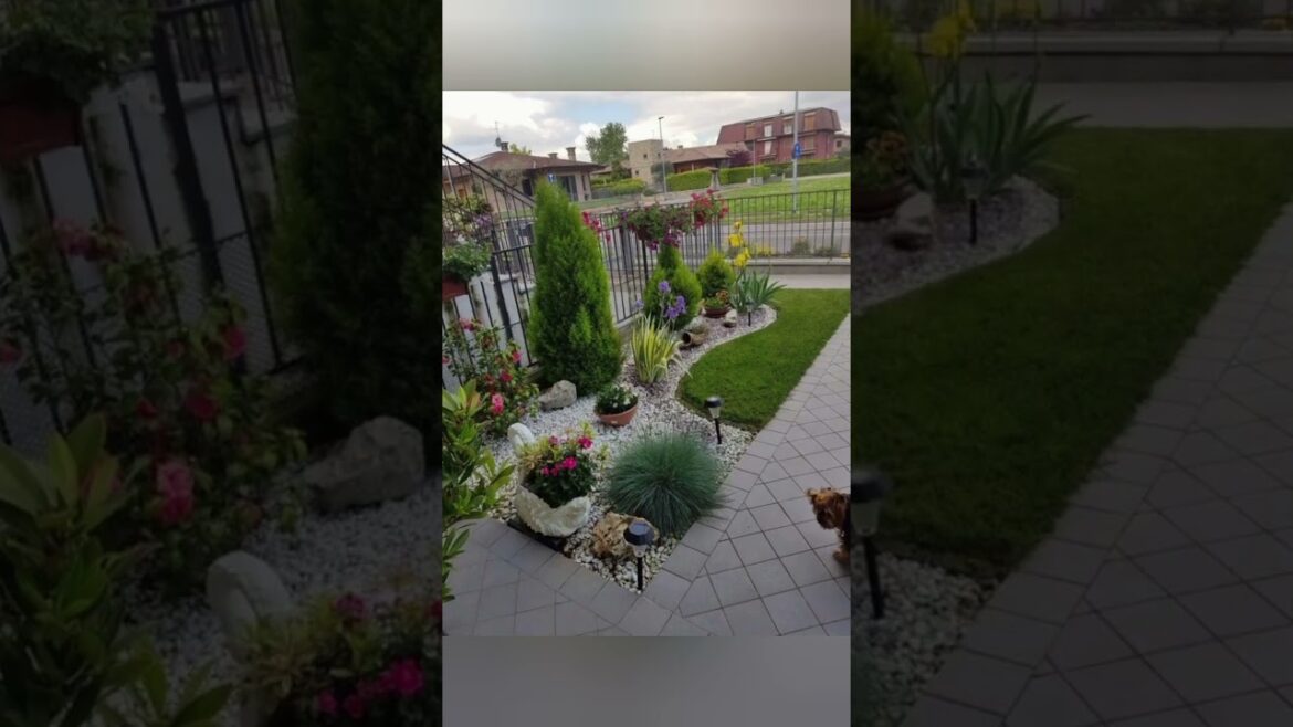 minimalist garden ideas #trending #ytshorts #youtubeshorts #shorts #home minimalist garden ideas #trending #ytshorts #youtubeshorts #shorts #home