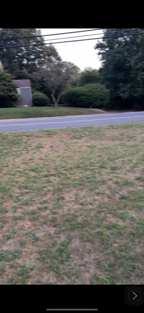 Progress so far on my front yard food forest
