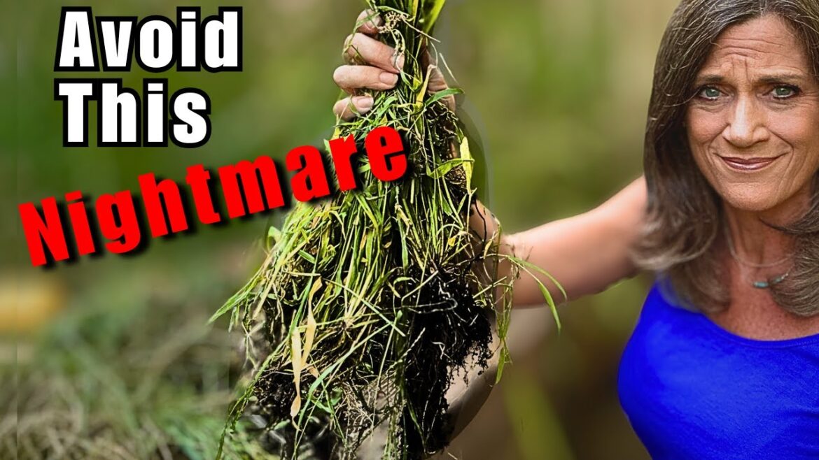 5 Fall Garden Mistakes to Avoid That Create Headaches Later