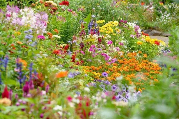 Flower beds in the English Garden with a variety of colorful flowers