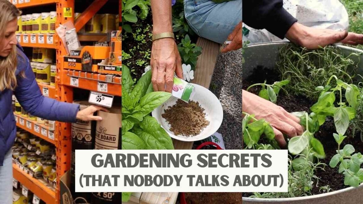 15 Viral Hacks You’ll Wish You Knew Sooner