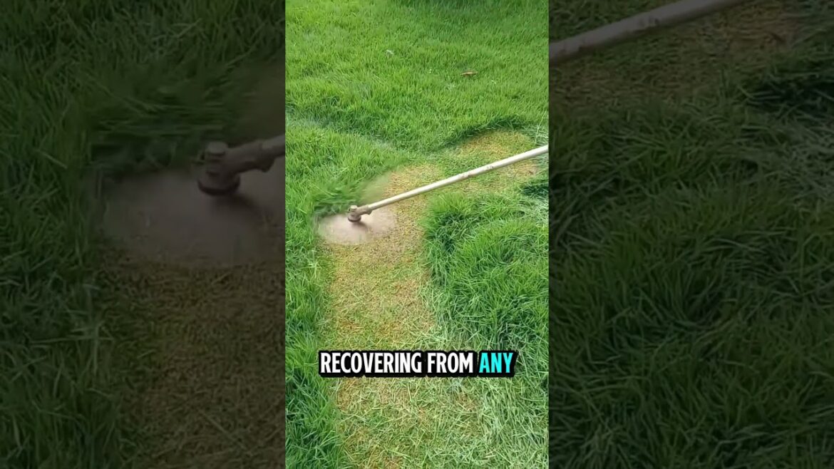 Help her mother… then everything changed in an instant