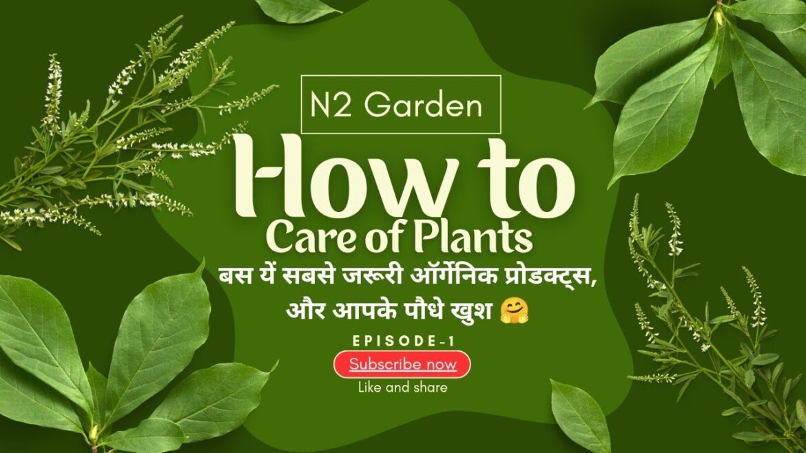#gardening के लिए सबसे जरुरी यें #products  jarur होने चाहिए।#trends#new#tips#newvideo#mostwanted