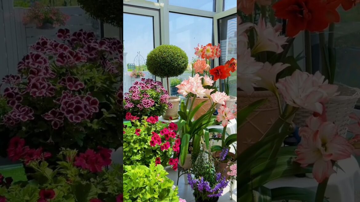 Inspiration For Home Gardens 🌸🌱Get Garden Inspo 🪴🌺#gardening #plants #asmr #nature #oasis #flower