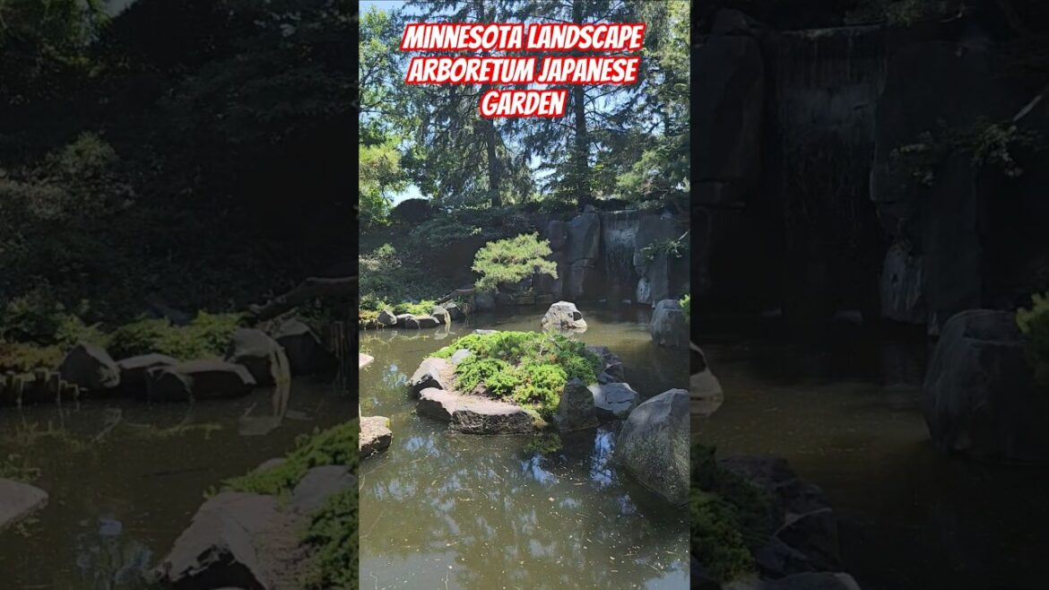 Minnesota Landscape Arboretum Japanese Garden! #minnesota #landscape #arboretum #like #subscribe #mn