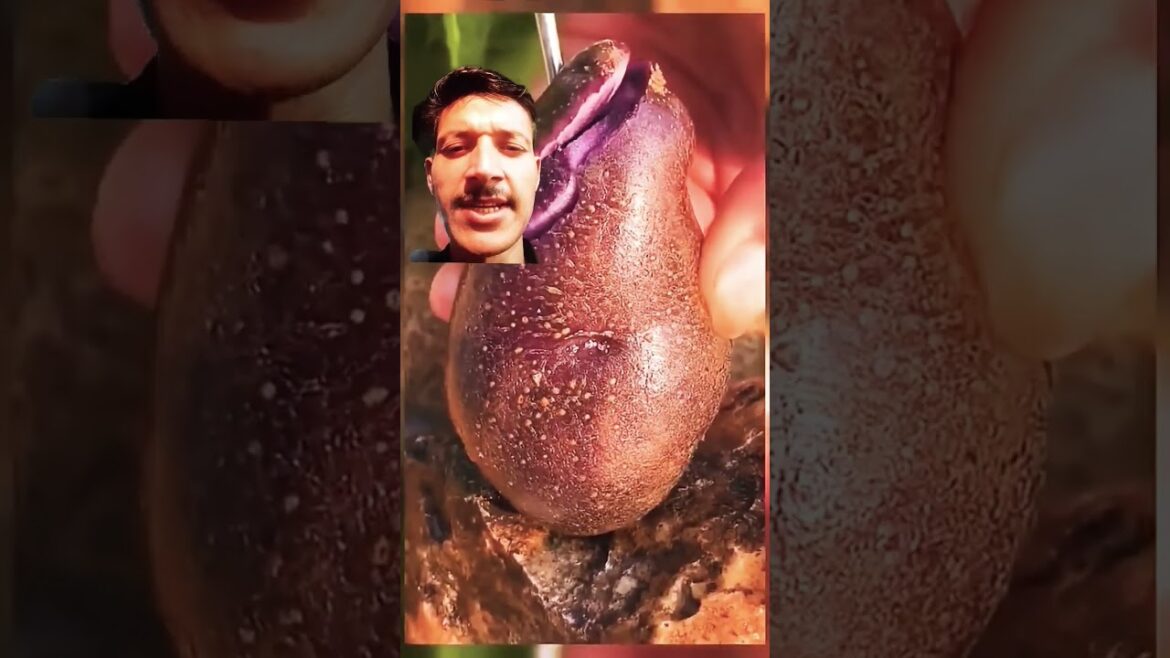 How Tech is Revolutionizing Agriculturefruits benefits,fruit trends, How Tech is Revolutionizing Agriculturefruits benefits,fruit trends,