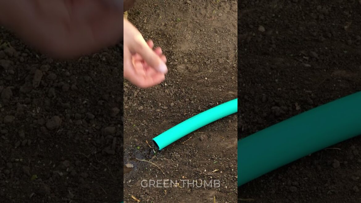 Build Your Handmade Greenhouse This Autumn