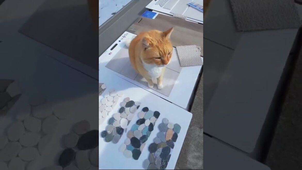 #constructionofwatertank #gopalpanditji #constructioncrane ##ConstructionMastery #construction #diy #constructionofwatertank #gopalpanditji #constructioncrane ##ConstructionMastery #construction #diy