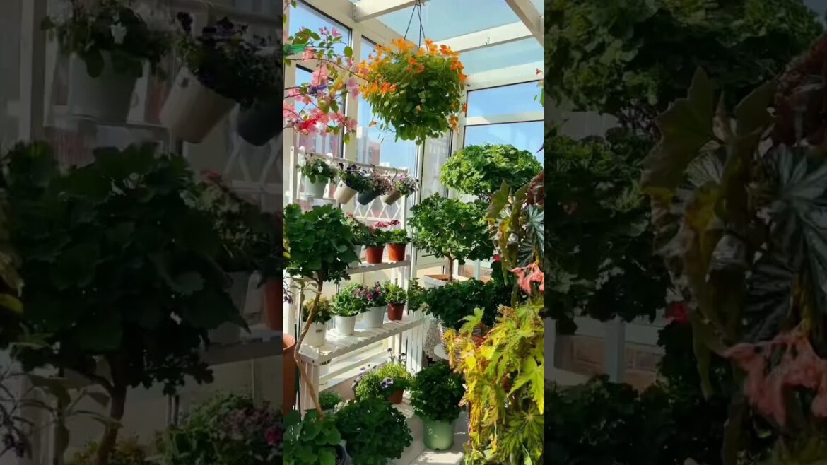 Amazing Home Entrance Garden Decor on a Big Budget You'll Get Amazed 🌸🌱😲#gardening #entrance #garden