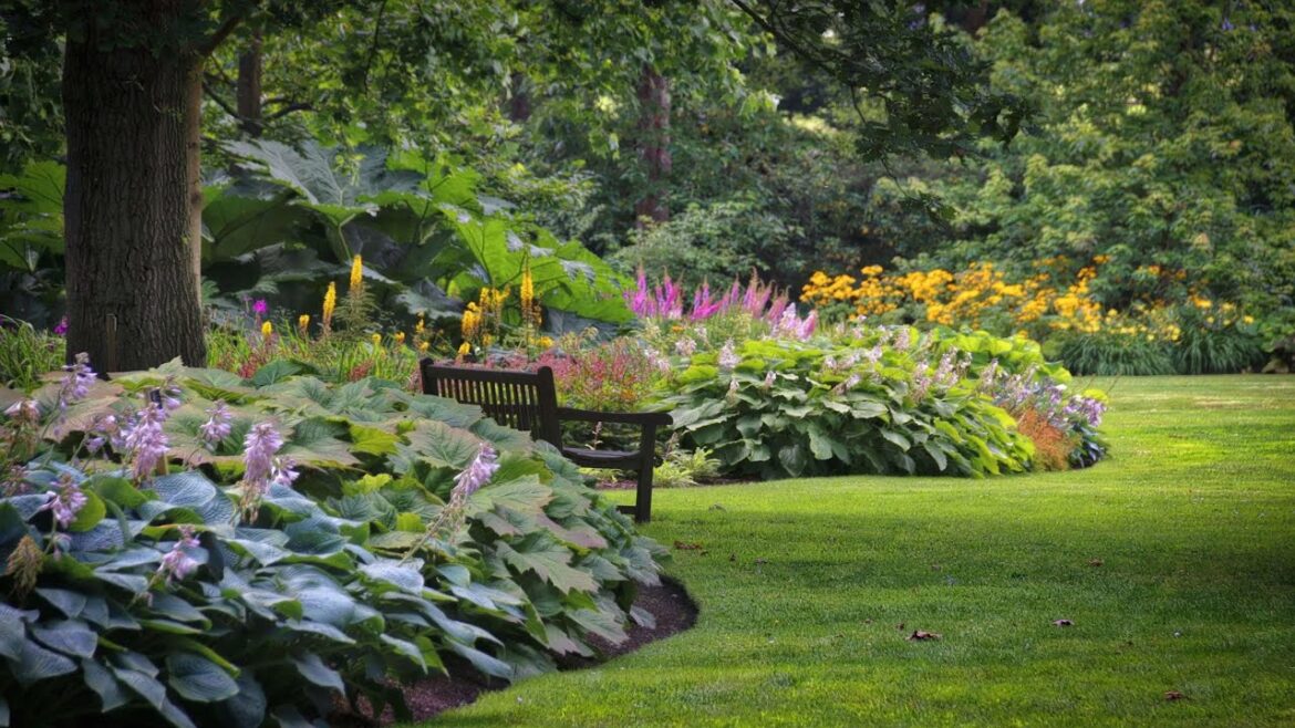 UNIQUE SHADE FLOWER GARDEN DESIGN IDEAS | BEAUTIFUL BACKYARD CORNER FLOWER GARDEN WITH LESS SUNLIGHT