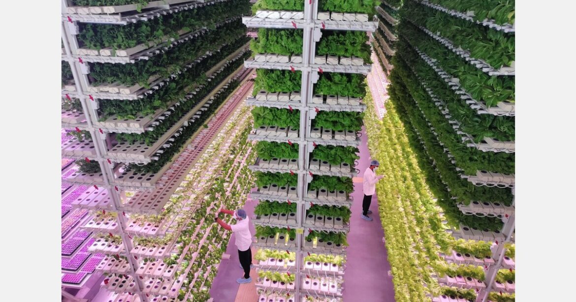 “We’ve accelerated seed development from eight to two years”