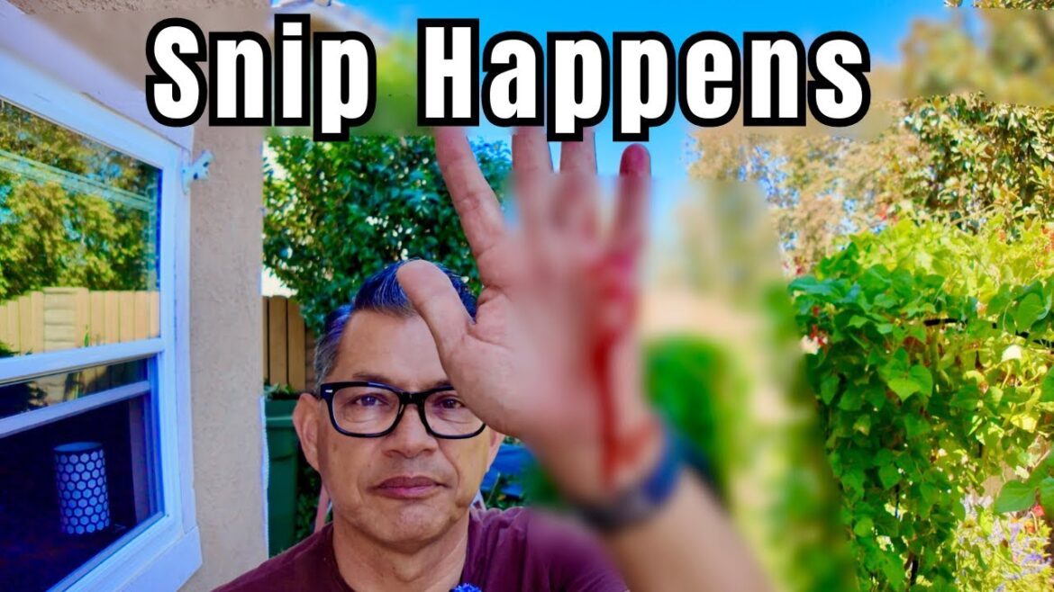 Snip Happens | UnCut 7