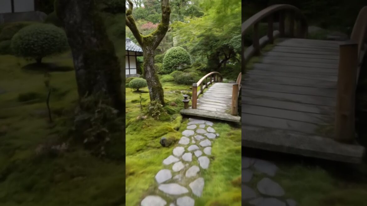 A tranquil Japanese garden setting. #nature #relax #scenery#garden #beautiful #landscape