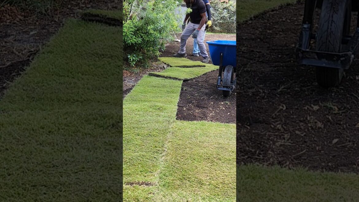 Have you raised your rates?? #lawncare #landscape #lawn #backyard #landscaping #shorts