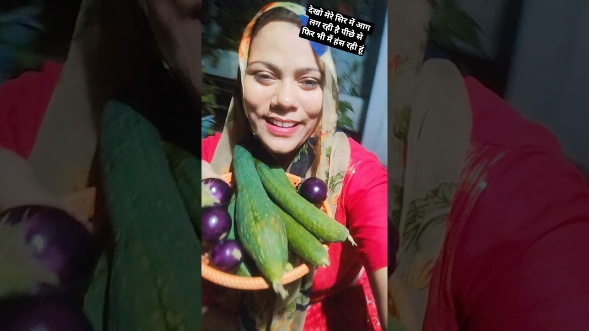 #terrace #gardenvideo howto #grow #garden 🏡