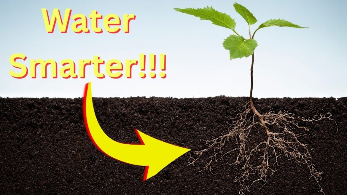 7 Critical Watering Tips Every Gardener Should Know! 7 Critical Watering Tips Every Gardener Should Know!