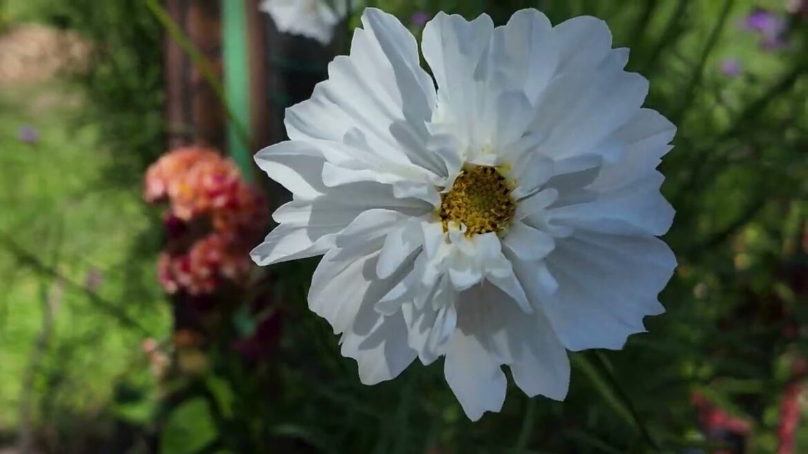 Cutler Botanic Garden