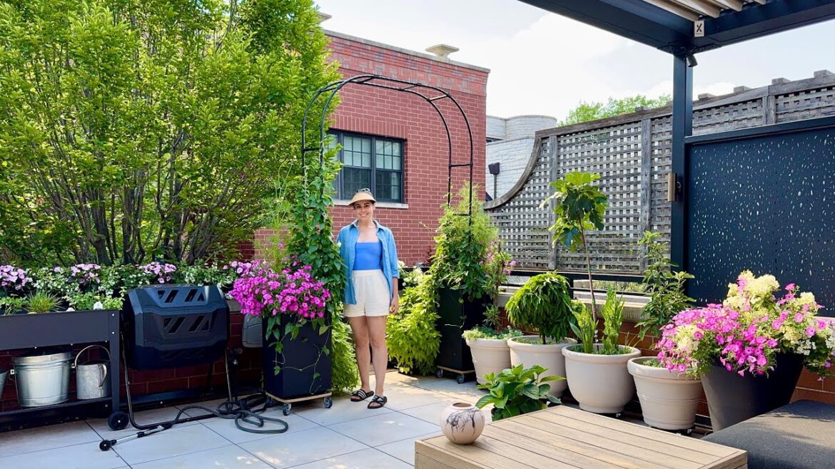 Garage Deck Garden REVEAL! 🌸 Full Tour + Plant Names🪴 Garage Deck Garden REVEAL! 🌸 Full Tour + Plant Names🪴