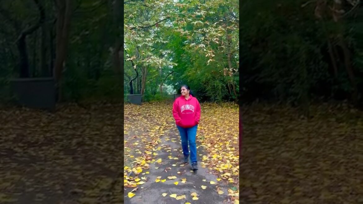 Idhoda vayasa enna irukkum 🙌 / Mini Vlog #459 #ediblegardening #commongarden #dedication #tamil