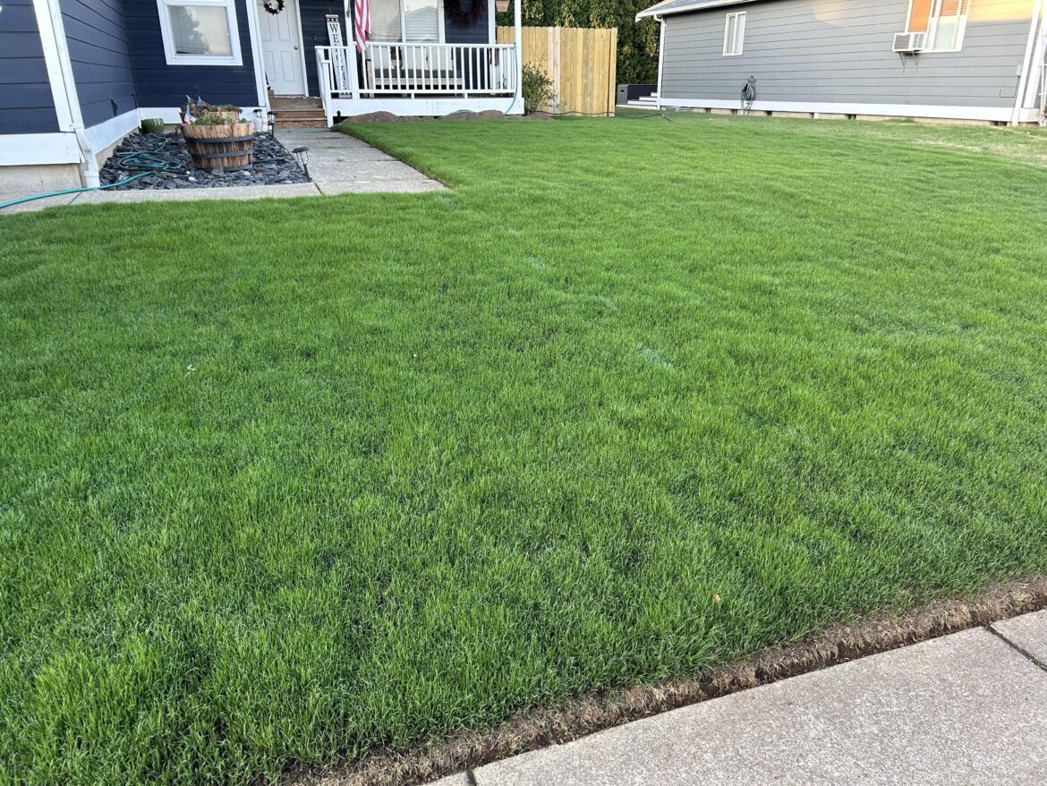 First mow new lawn, when?