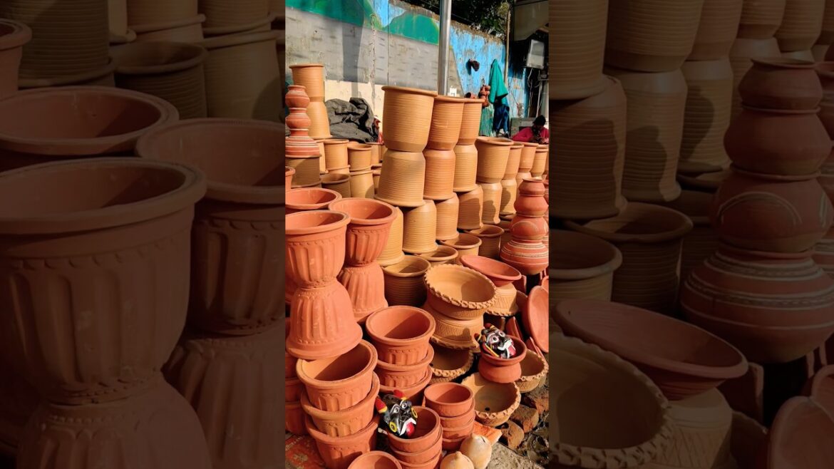 Roadside से खरीदे मिट्टी के गमले | Terracota pots #mygardenstories #gardening #gardenshopping Roadside से खरीदे मिट्टी के गमले | Terracota pots #mygardenstories #gardening #gardenshopping