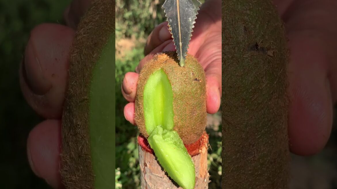 How to cut fruits into different shapes | Gardening Tips 🍐🍉🍓 #satisfying #shorts