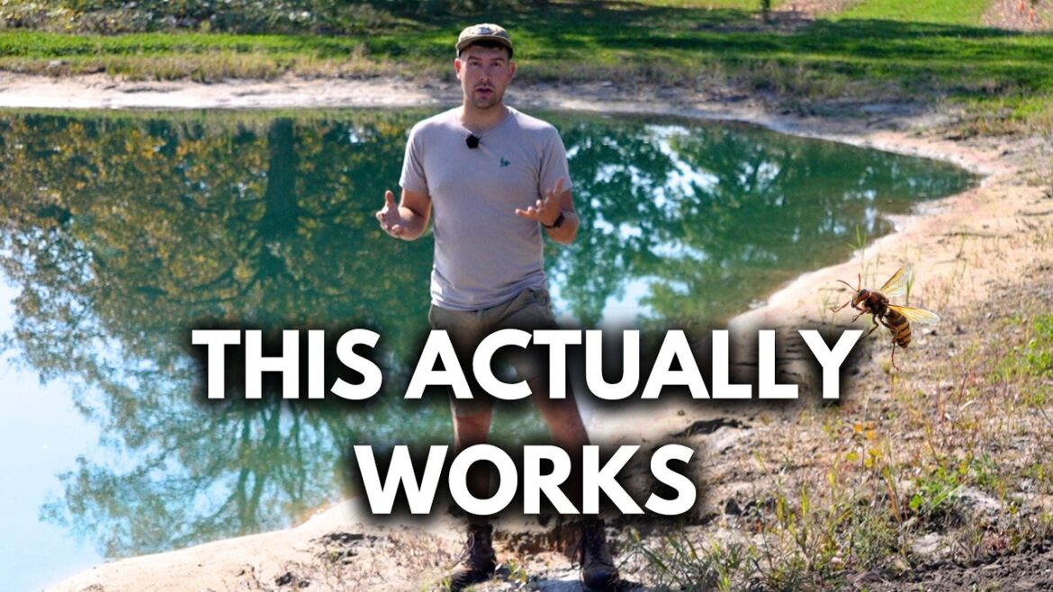 MIgardener: Don’t Plant These Crops If You HATE Wasps! Don't Plant These Crops If You HATE Wasps!