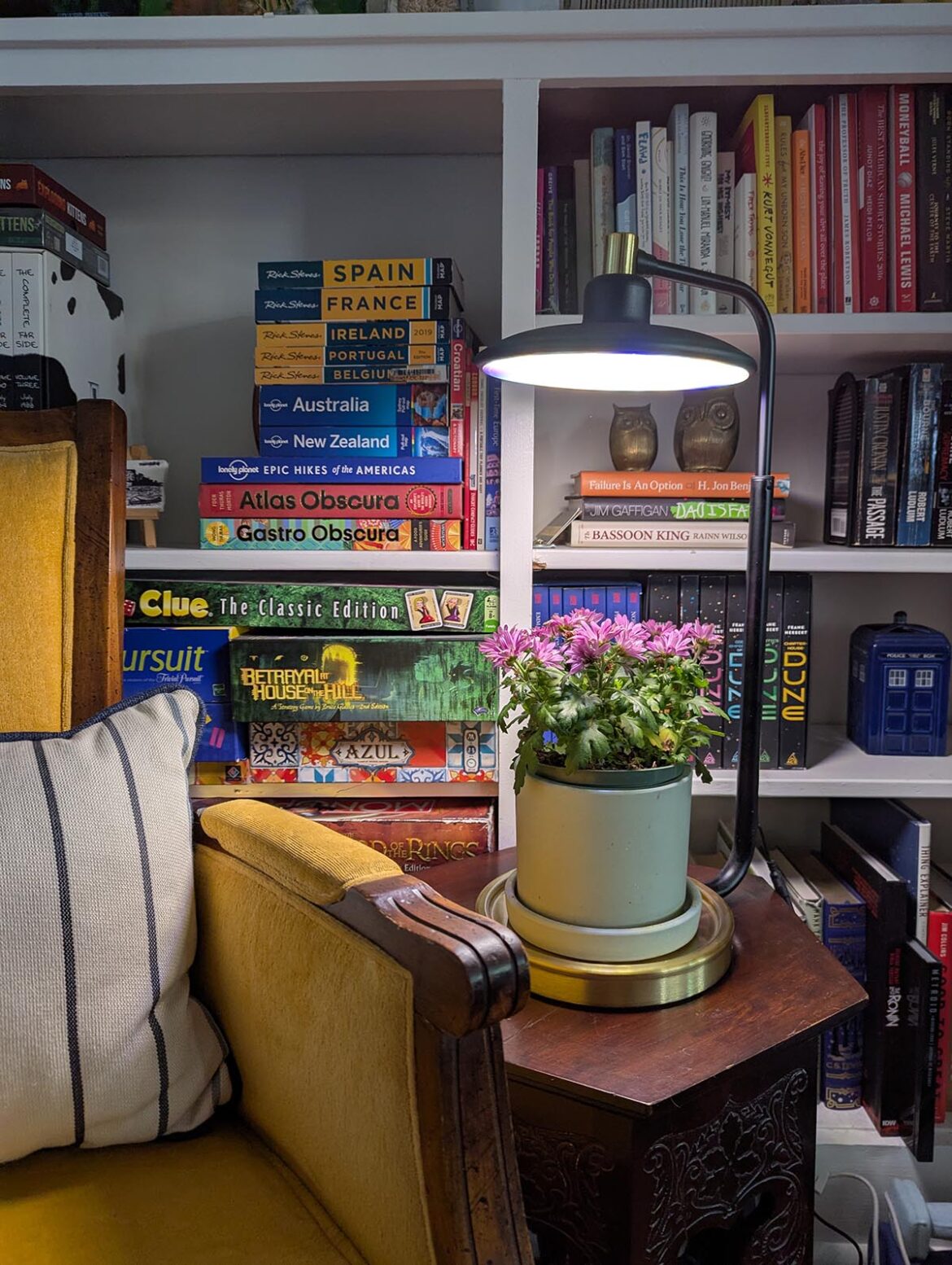 My Favorite Aerogarden Is Not a Garden Aerogarden_Light_Bulb_Close-Up