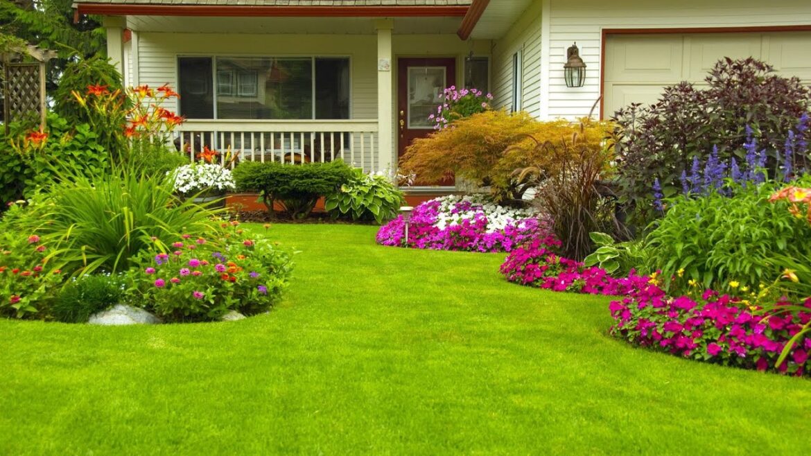 WONDERFUL! LAWN GRASS GARDEN DESIGN IDEAS | HOW TO CREATE BEAUTIFUL HOME YARD LAWN LANDSCAPING TIPS