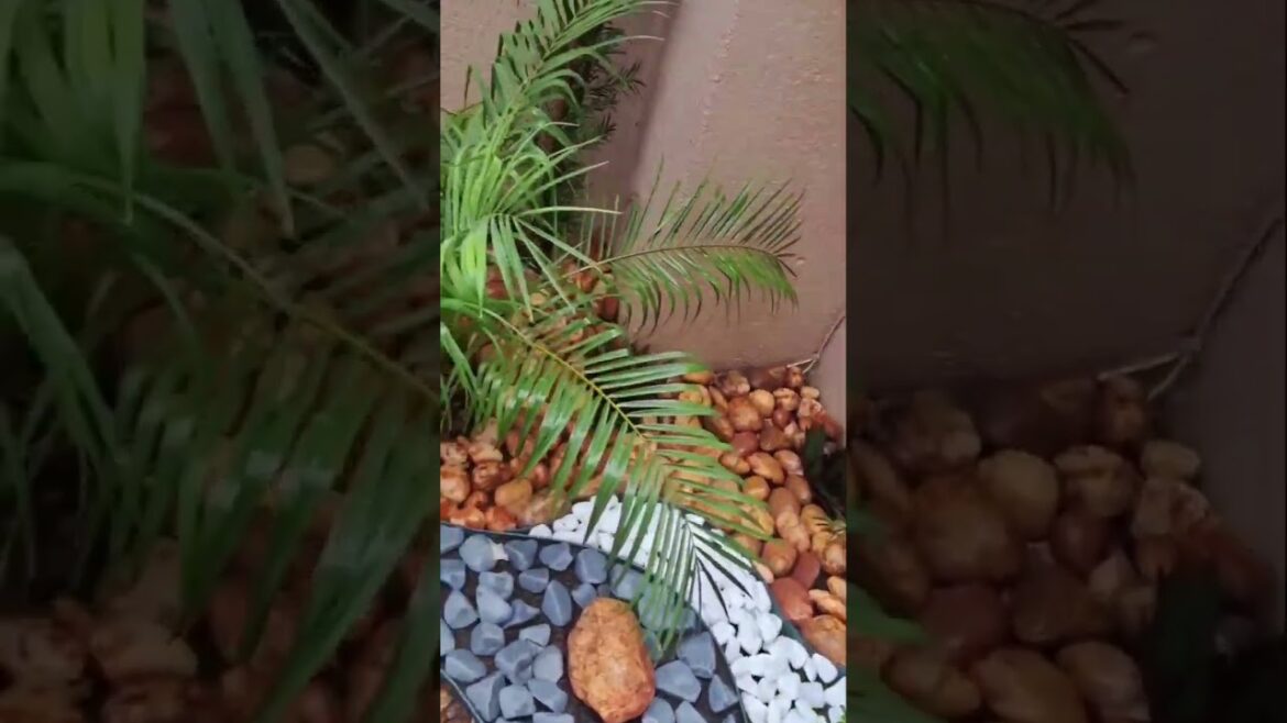 House garden design ##short video