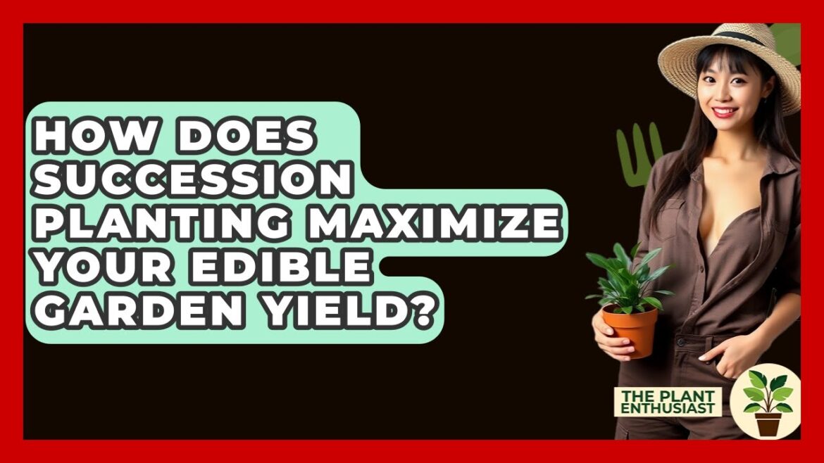 How Does Succession Planting Maximize Your Edible Garden Yield? – The Plant Enthusiast How Does Succession Planting Maximize Your Edible Garden Yield? - The Plant Enthusiast