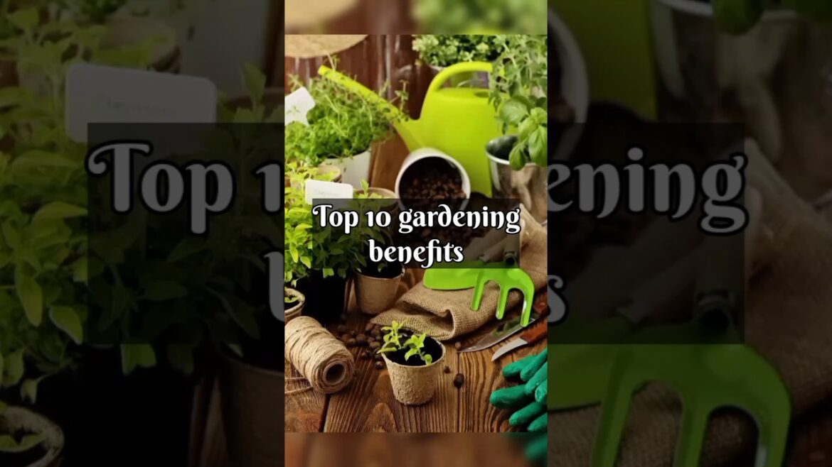 Top 10 gardening benefits/plants/gardening benefits/plant benefits #shorts #viral Top 10 gardening benefits/plants/gardening benefits/plant benefits #shorts #viral
