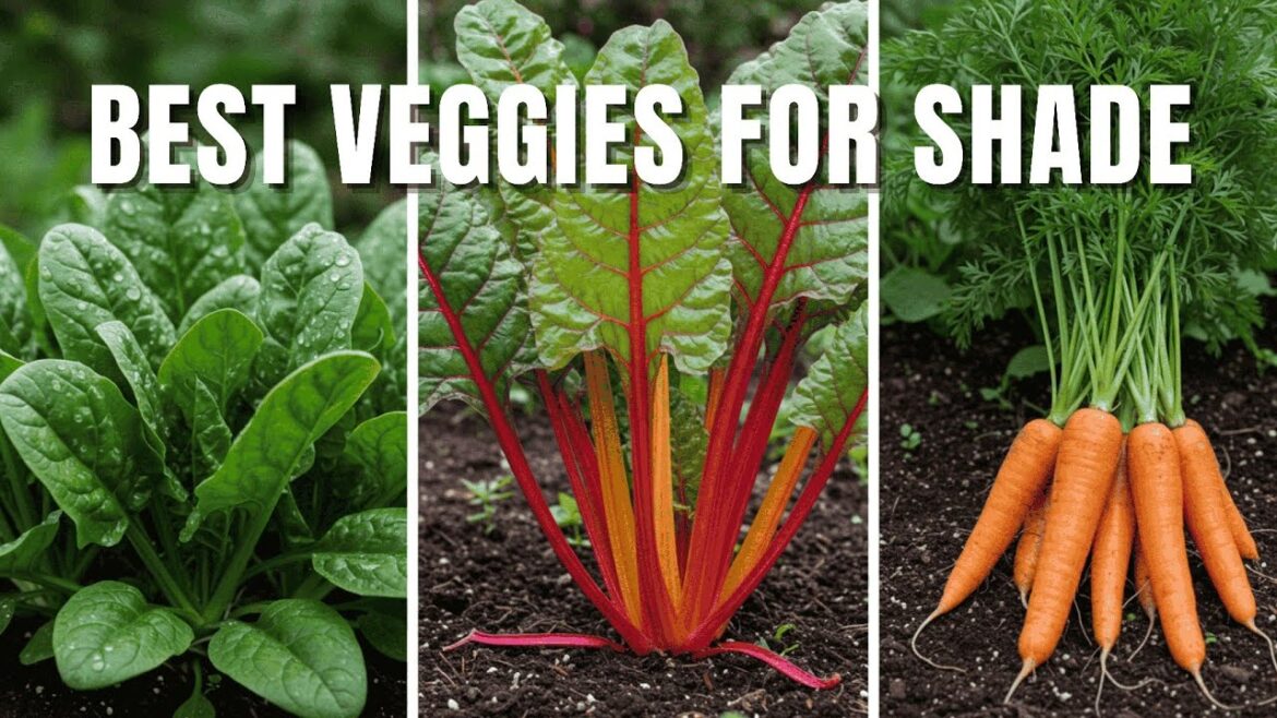 12 Perfect Vegetables You Didn’t Know Thrive in a Shady Garden 🌿