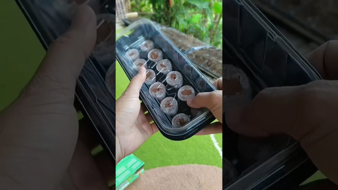 Pot Tray Green House