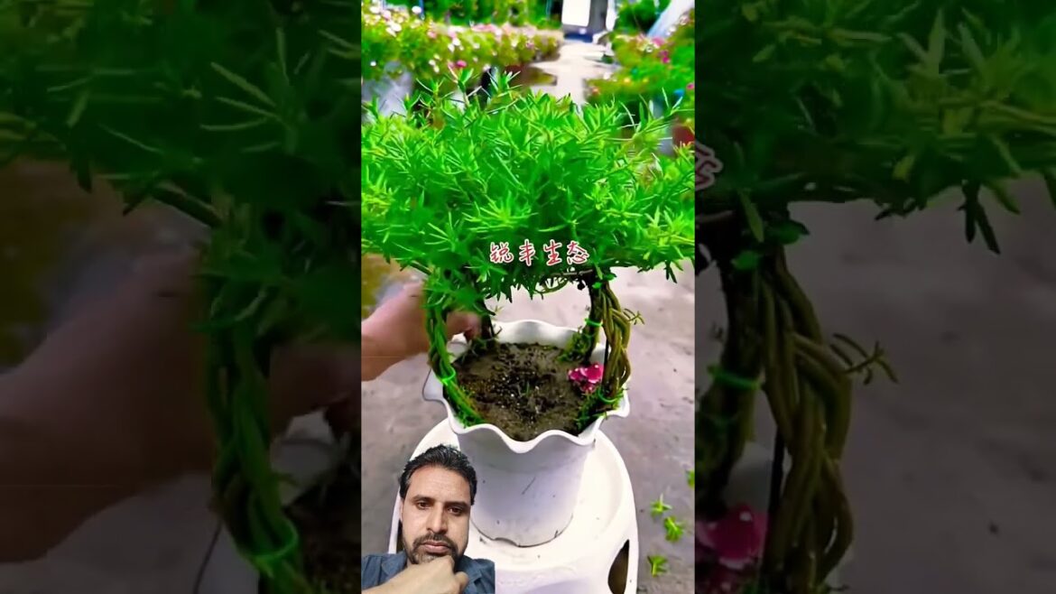 Tips planet and flowers 🌺 #diy #garden #flowers #plants #gardening #tips #shorts #ourplants