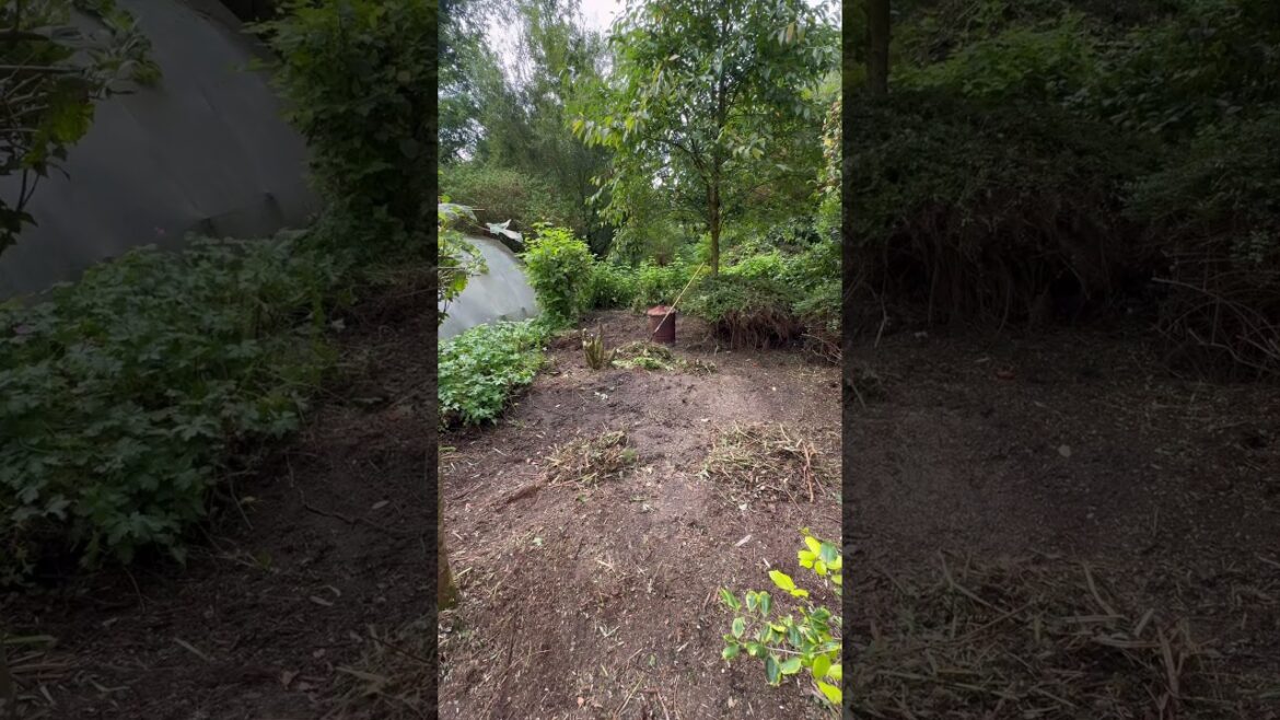 Cottage Garden Design Cottage Garden Design