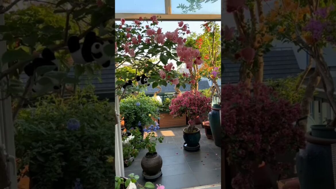 Entrance Garden Decor to Adore🌸🌱 You'll Love💚🌺 #gardening​ #asmr​#flower​ #plants​ #garden​ #shorts​