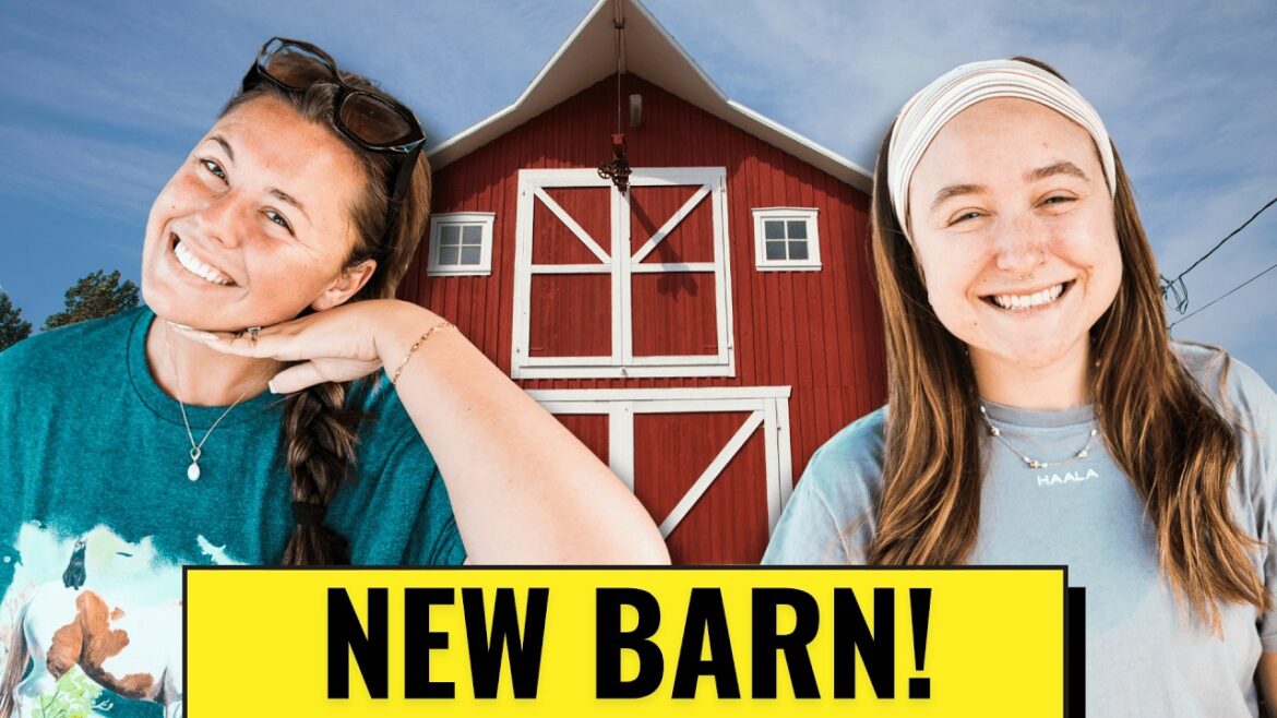My Garden Has Failed Me...But We Get A NEW Barn!