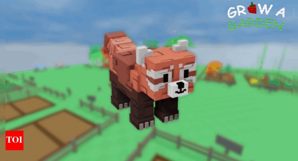 How to get Red Panda in Grow a Garden | Esports News How to get Red Panda in Grow a Garden | Esports News