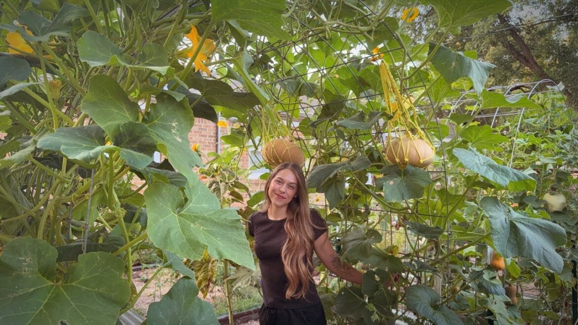 August 2025 Backyard Garden Tour