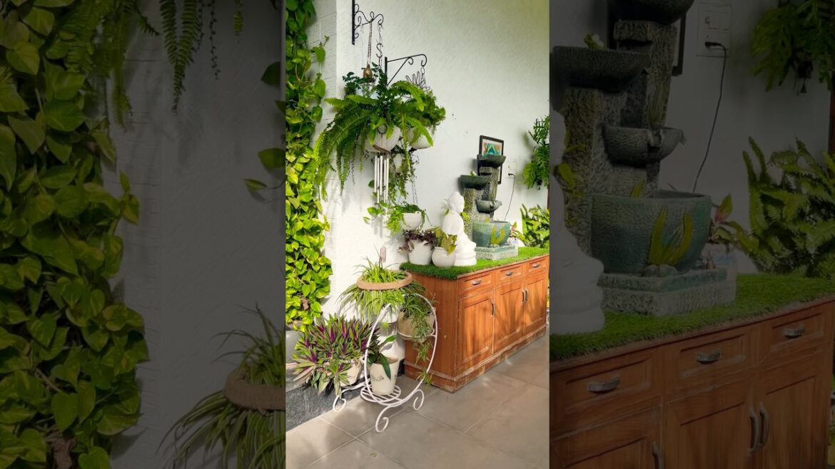 Home entrance decoration ideas #home #entrancedecor #plants #gardening #shorts #youtubeshorts