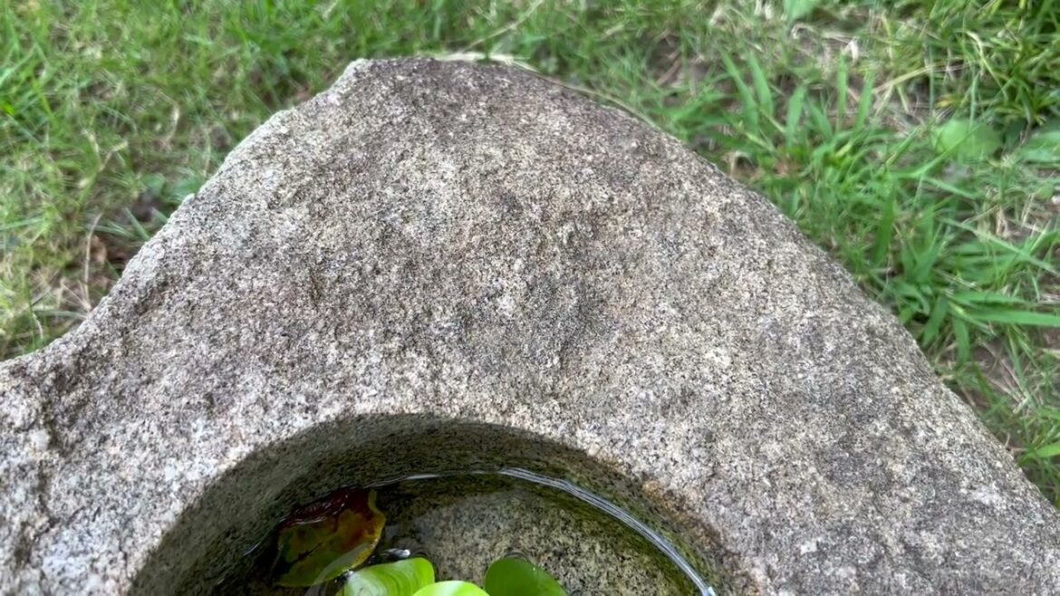 Englishman's Japanese Garden (in Japan)