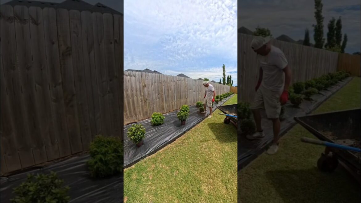 We Installed A Massive 77’x5′ Flower Bed in our Client’s Backyard! #lawn #landscape We Installed A Massive 77'x5' Flower Bed in our Client's Backyard! #lawn #landscape