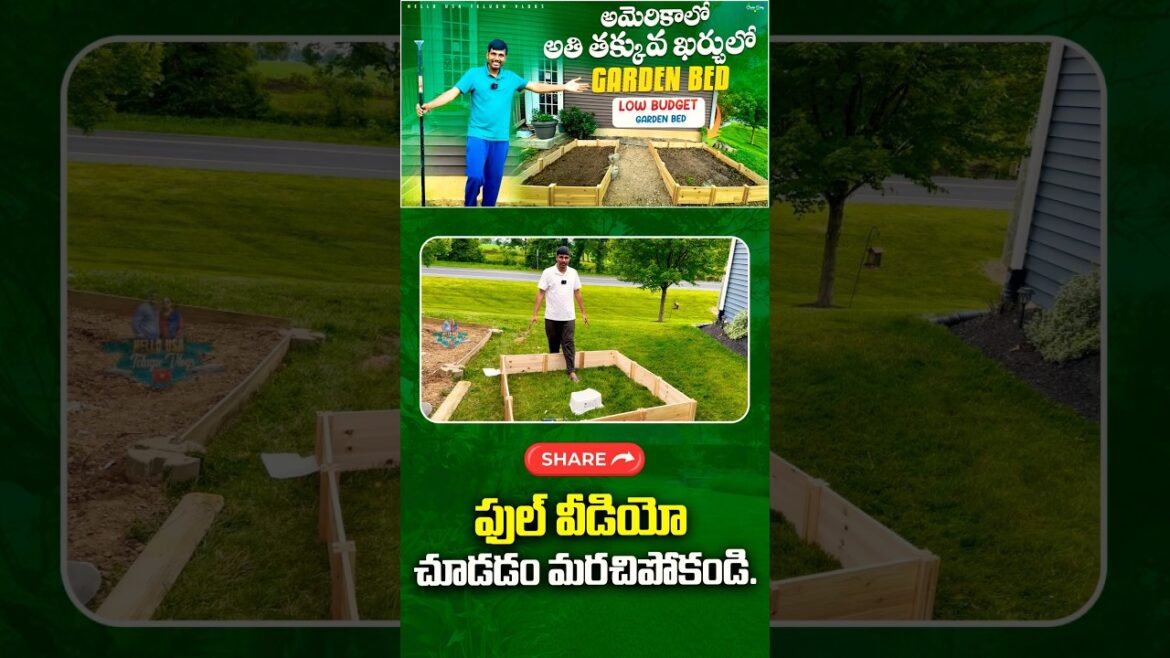 Easy Gardening Tips in USA 🇺🇸 | Full video👆👆 Easy Gardening Tips in USA 🇺🇸 | Full video👆👆