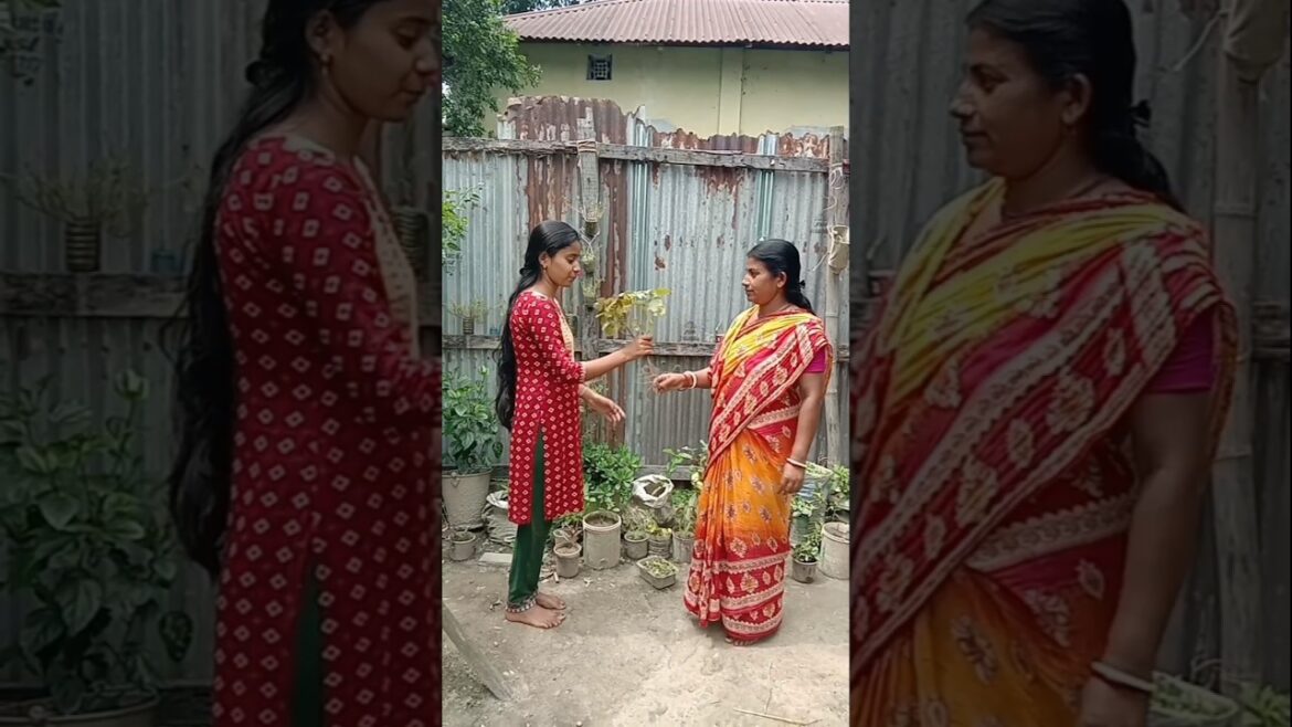 Nursery uncle tricked me😔#shorts#cranberry#gardening#youtube#viral video#plants