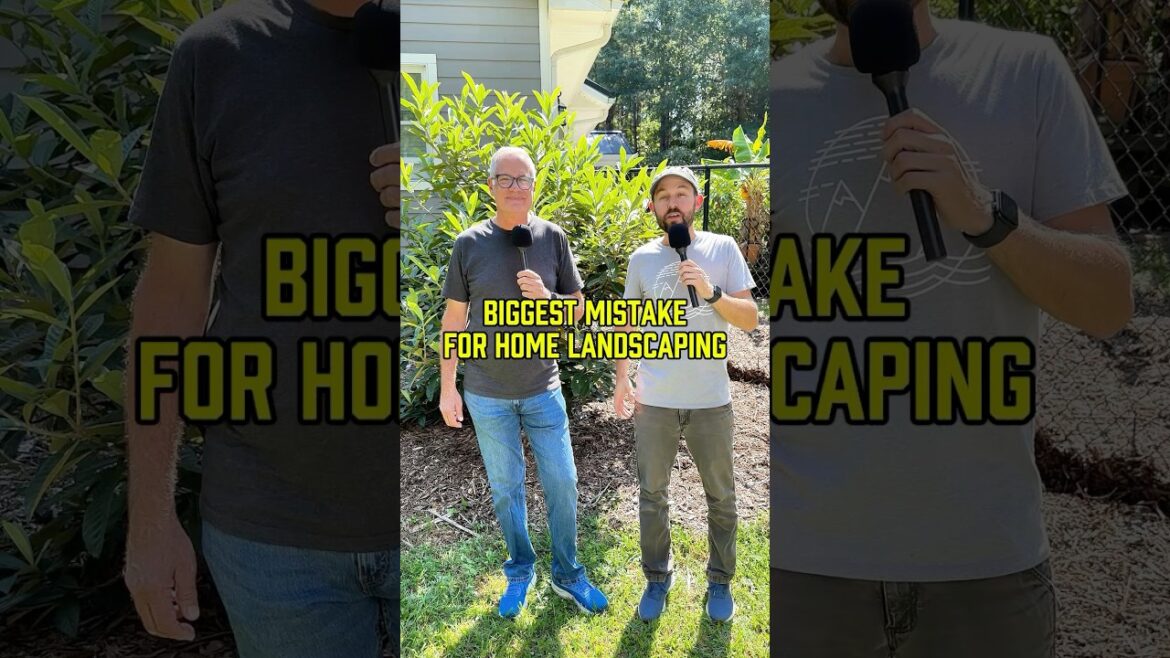 Biggest mistake for home landscaping #Shorts #Gardening #Landscaping #GardenDesign #DIYLandscaping Biggest mistake for home landscaping #Shorts #Gardening #Landscaping #GardenDesign #DIYLandscaping